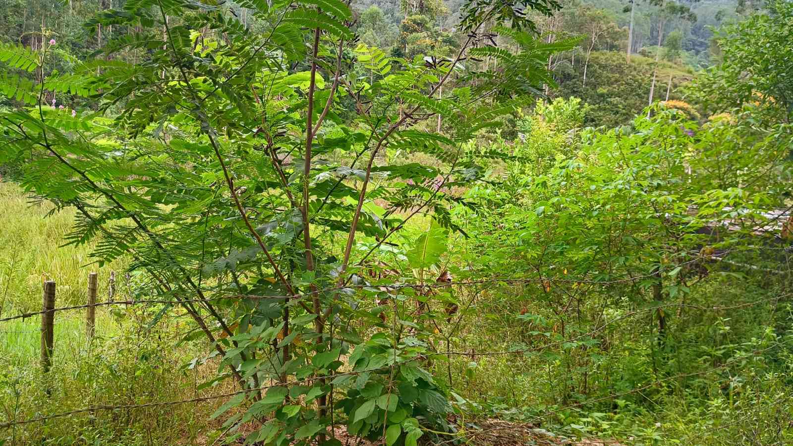 Terreno com Energia e Água instalada