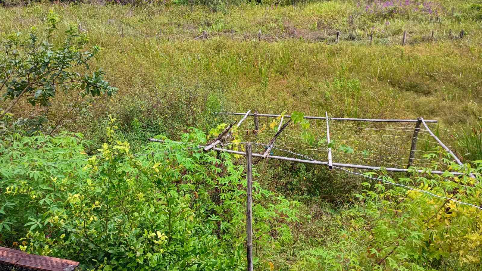 Terreno com Energia e Água instalada