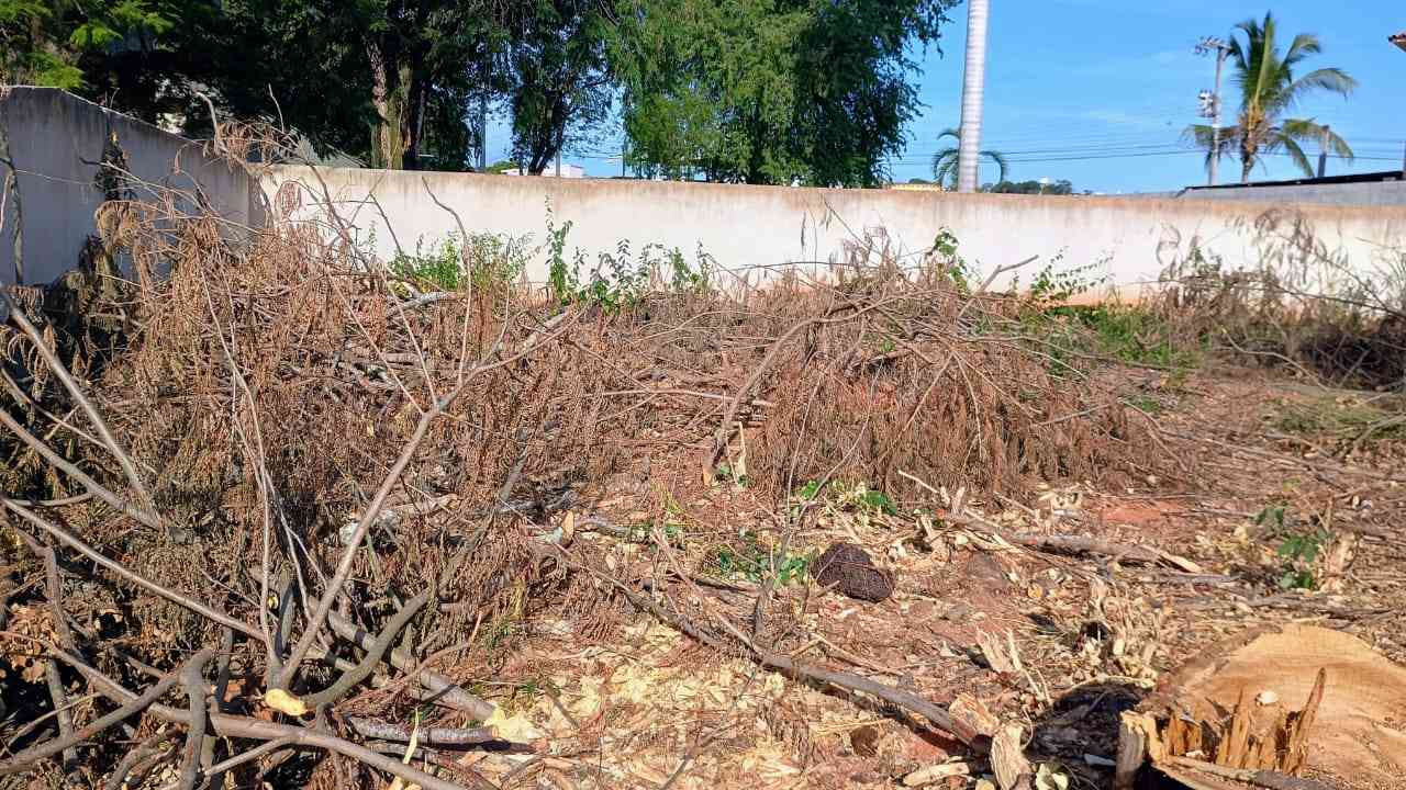 Terreno